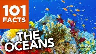 101 Facts About The Oceans