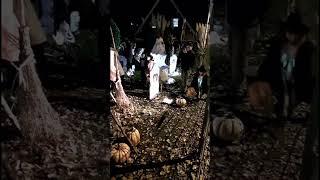 Halloween Takes Over Germany!  Insane Front Yard Decorations  Who Would’ve Thought?