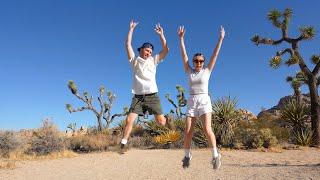 JOSHUA TREE WEEKEND GUIDE (2024) Best Eats, Shopping, Coffee, Where to Stay & Explore!