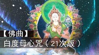 白度母心咒MV（21次版）White Tara Mantra (21 times)｜佛曲｜雨揚老師