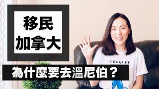 加拿大移民-打工度假＆留學 為何要去曼省溫尼伯?