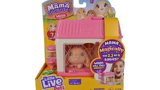 Little Live Pets Mama Surprise Minis Lil Bunny Unboxing Review