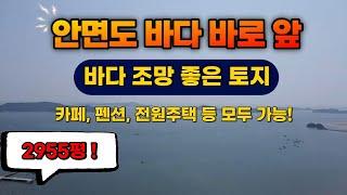 (412-0004) 안면도 바다 바로 앞, 조망 좋은 토지 매매