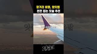 승무원도 추천 안 하는 비행기내 양치 / 안전한 일회용 씹는 칫솔 추천