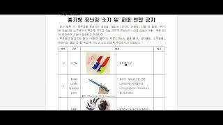 20231115 파주 적서초 | 흉기형 장난감 소지 및 교내 반입 금지