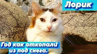 Лорик. Год как откопали из под снега.