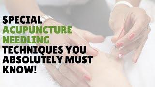 Special Needling Techniques - Every Acupuncturist Should Know