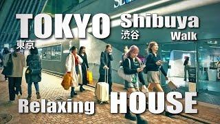 渋谷 / Night walk in Shibuya, Tokyo, Relaxing House (October 30, 2024)