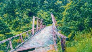 *WAIOEKA GORGE CAMP* 141km LEFT To GISBORNE Newbie Solo Backpacker.