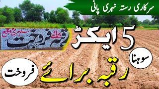 40 kanal Agriculture Land for sale in punjab pakistan | Raqba Zameen for sale | Ep 65