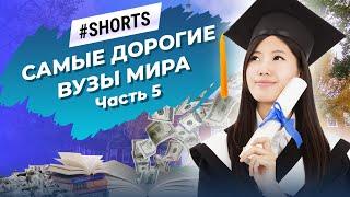 В каких ВУЗах самая высокая стоимость образования? #Shorts