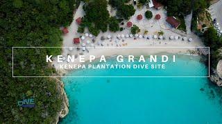 Curacao Dive Site Guide | Kenepa Grandi | Curaçao Travel Vlog