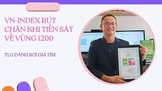 TLG "sém tím". Thị trường có tạo đáy khi kéo về sát 1200?