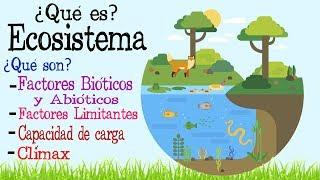 Ecosistema | Factores Bióticos y Abióticos  | [Fácil y Rápido] | BIOLOGÍA |