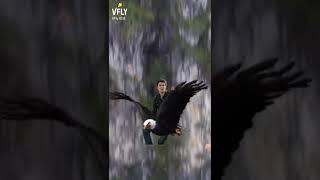 fly and high