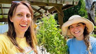 Fun Times! Shopping for Native Wildflowers at Sweet Bay Nursery