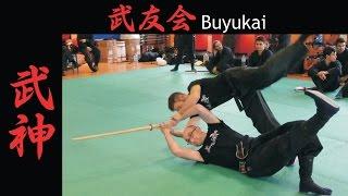 Buyukai Sardegna Shingin Budō Bujinkan theme 2014