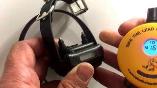 How to use the ET300 Mini Educator e-collar. Features of the Mini Educator