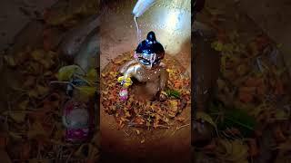 gopu sona r snan dharshoner koro sobay..hare Krishna 