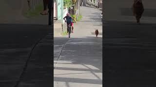 Doggo Races Cyclist Up A Hill