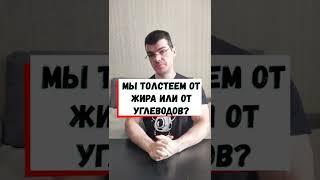 От чего толстеем? От жира или углеводов?