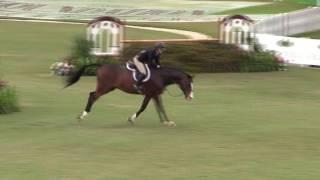 Video of CARENTO ridden by SARA GREEN from ShowNet!