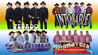 CONJUNTO PRIMAVERA, INTOCABLE, PALOMO Y PESADO DESDE LA CANTINA - PUROS CORRDOS PESSADOS MIX