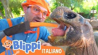 Blippi visita lo zoo di Phoenix | Blippi in Italiano | Video educativi per bambini