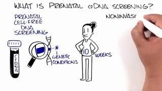 Prenatal Cell-Free DNA Screening (cfDNA Screening)