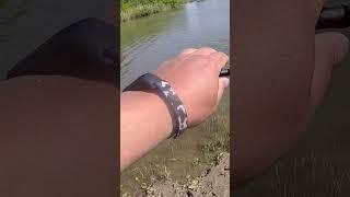 ЛЮБИМАЯ ПОКЛЕВКА ЛЕЩА  #shorts #short #shortvideo ##ловлялеща #Рыбалка