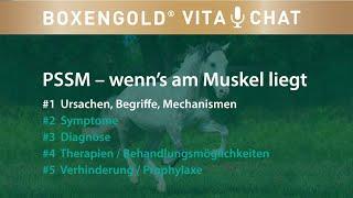 PSSM 1 und PSSM Typ 2: Ursachen für PSSM beim Pferd | Boxengold Vita Chat