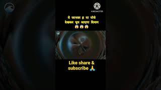 ये पोधे ह या जनवर  !!!  #shorts #youtubeshorts #viral #tranding #viralvideo #short