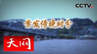 《天网》 案发傍晚时分 | CCTV社会与法