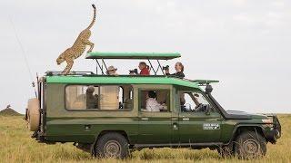 Photo Safaris with Chris Bray Photography