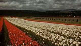 Oregon, 1950s