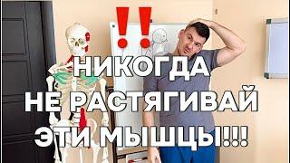 ЭТИ МЫШЦЫ ЗАПРЕЩЕНО РАСТЯГИВАТЬ! Никогда не растягивай эти мышцы даже за деньги