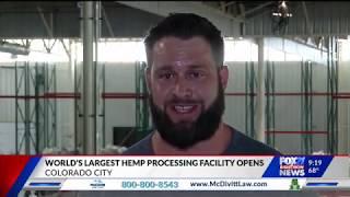 FOX21 Visits Paragon Processing, the Largest Operating Hemp Processing Facility in the US