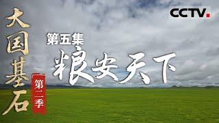 《大国基石》第二季 05 粮安天下：中国粮食产量连续9年超1.3万亿斤 稳居全球第一！守护国人餐桌 共筑美好生活！【CCTV纪录】