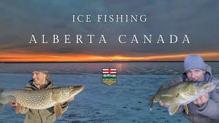 Alberta Canada Ice Fishing - PIKE & WALLEYE