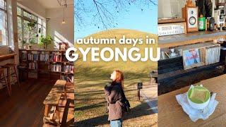 autumn in gyeongju  bookstores, new cafes, solo travel outside seoul, korea vlog