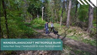 Wandern auf dem Hohen Mark Steig - Wandertipp vom Regionalverband Ruhr