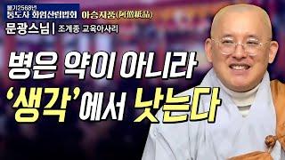 왜 화엄경은 현대에 꼭  필요한가? | 문광스님 (조계종 교육아사리)#통도사화엄산림법회 22회 아승지품