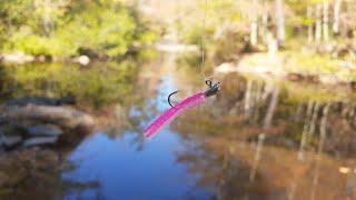 Is this THE BEST TROUT LURE Ever Made? || Lakes, Ponds, Rivers & More!