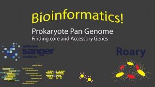 Bioinformatics - Prokaryote Pan Genome with Roary! (Timestamps)