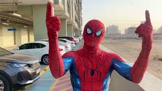 The best moments of Moscow spider