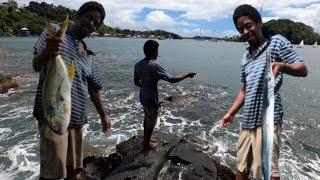 This is what you did not know about Rock Fishing #caribbean #stvincent #wildlife