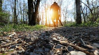 Hiking at Tailwaters Lodge on the South Holston