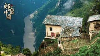 A family in the mountains picks expensive medicinal materials every day