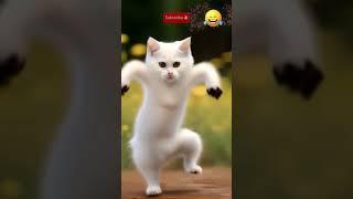 Try not to laugh baby cat most funny dance  #aicat #dancingcat #shorts