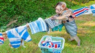 Monkey MiMi Takes on ALL the Housework Alone! - No Help from Mom!